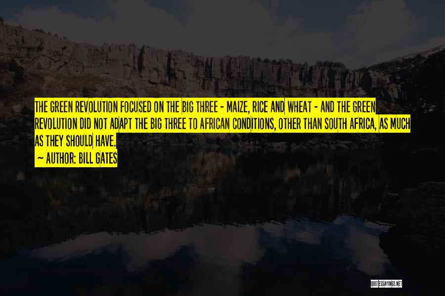 Bill Gates Quotes: The Green Revolution Focused On The Big Three - Maize, Rice And Wheat - And The Green Revolution Did Not