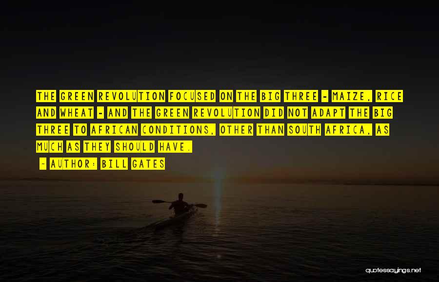 Bill Gates Quotes: The Green Revolution Focused On The Big Three - Maize, Rice And Wheat - And The Green Revolution Did Not