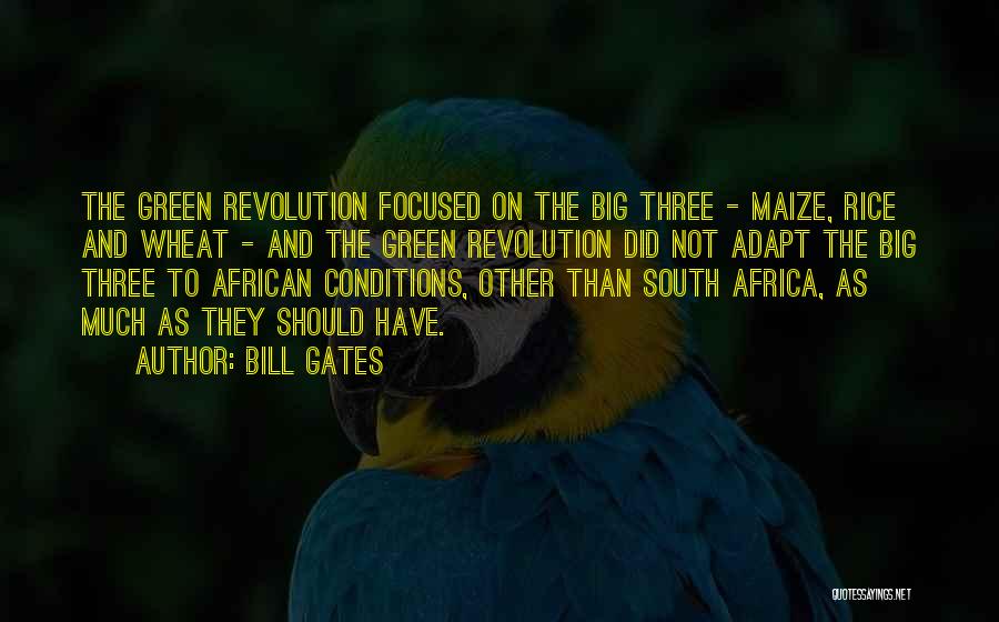 Bill Gates Quotes: The Green Revolution Focused On The Big Three - Maize, Rice And Wheat - And The Green Revolution Did Not
