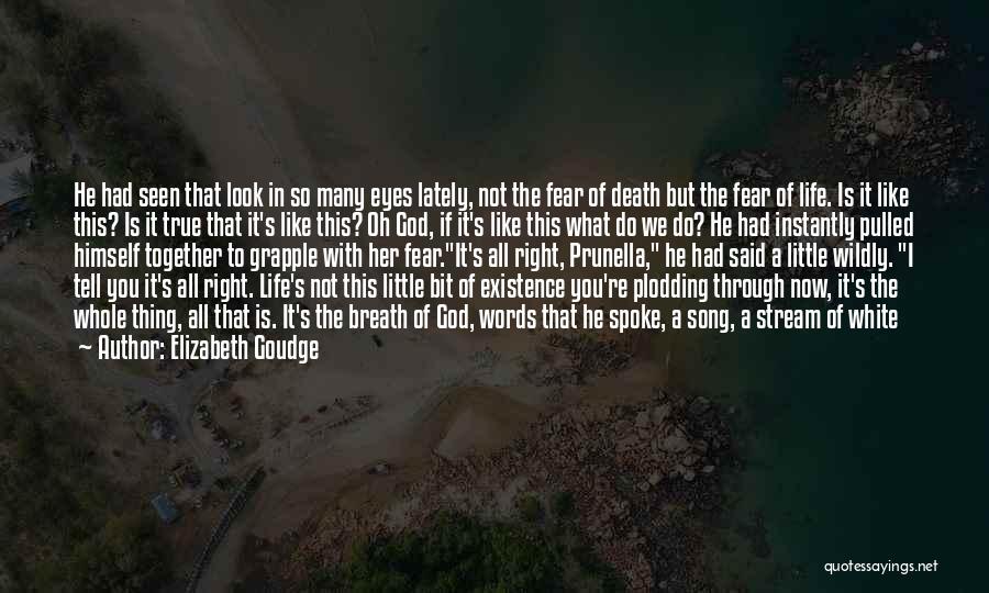 Elizabeth Goudge Quotes: He Had Seen That Look In So Many Eyes Lately, Not The Fear Of Death But The Fear Of Life.