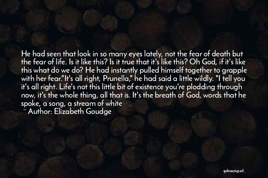 Elizabeth Goudge Quotes: He Had Seen That Look In So Many Eyes Lately, Not The Fear Of Death But The Fear Of Life.