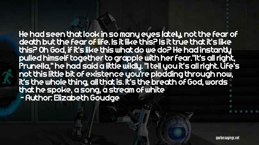 Elizabeth Goudge Quotes: He Had Seen That Look In So Many Eyes Lately, Not The Fear Of Death But The Fear Of Life.