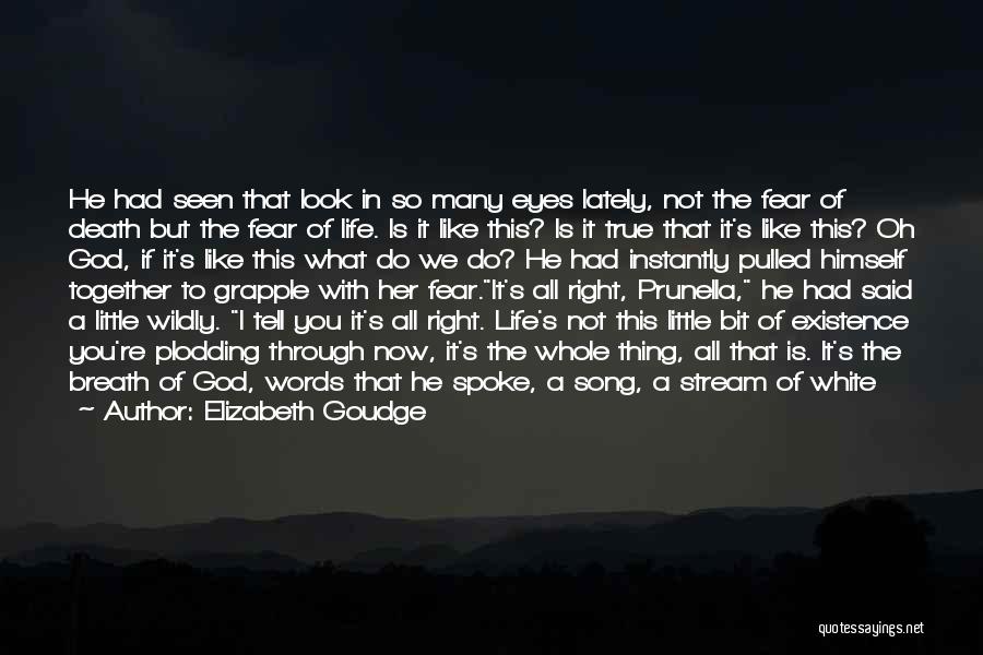 Elizabeth Goudge Quotes: He Had Seen That Look In So Many Eyes Lately, Not The Fear Of Death But The Fear Of Life.