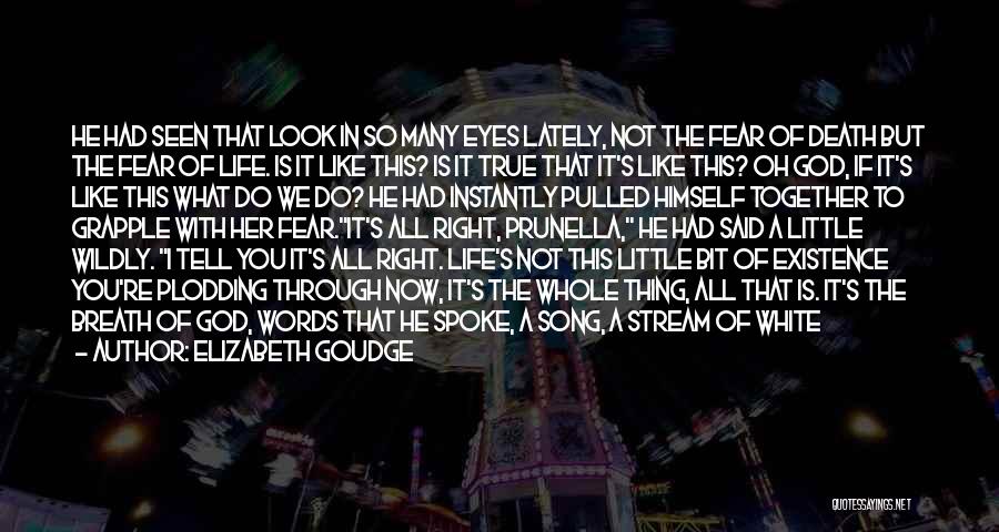 Elizabeth Goudge Quotes: He Had Seen That Look In So Many Eyes Lately, Not The Fear Of Death But The Fear Of Life.