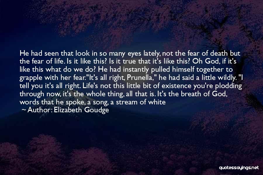 Elizabeth Goudge Quotes: He Had Seen That Look In So Many Eyes Lately, Not The Fear Of Death But The Fear Of Life.