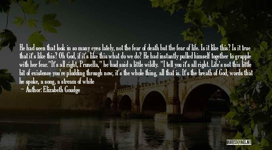 Elizabeth Goudge Quotes: He Had Seen That Look In So Many Eyes Lately, Not The Fear Of Death But The Fear Of Life.