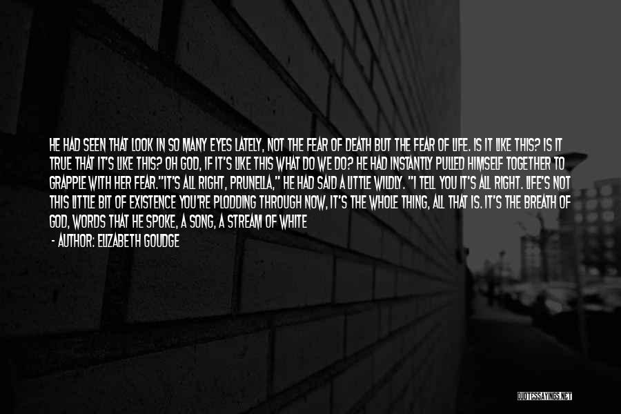 Elizabeth Goudge Quotes: He Had Seen That Look In So Many Eyes Lately, Not The Fear Of Death But The Fear Of Life.