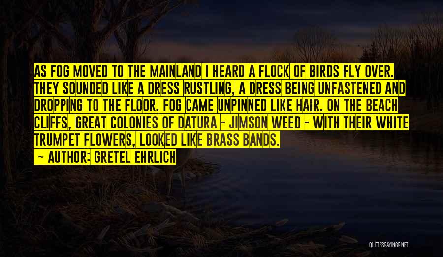 Gretel Ehrlich Quotes: As Fog Moved To The Mainland I Heard A Flock Of Birds Fly Over. They Sounded Like A Dress Rustling,