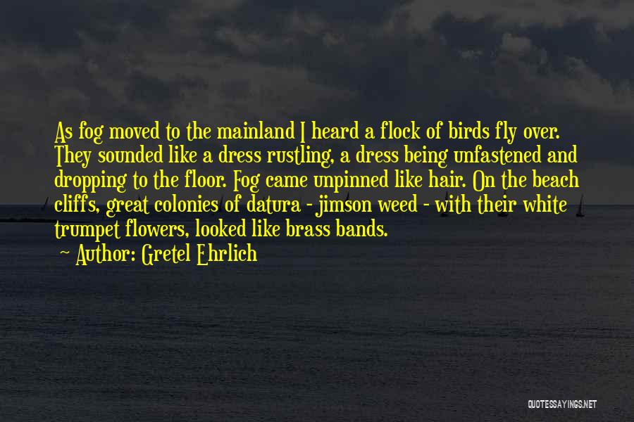 Gretel Ehrlich Quotes: As Fog Moved To The Mainland I Heard A Flock Of Birds Fly Over. They Sounded Like A Dress Rustling,