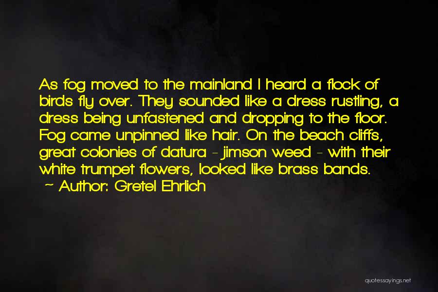 Gretel Ehrlich Quotes: As Fog Moved To The Mainland I Heard A Flock Of Birds Fly Over. They Sounded Like A Dress Rustling,