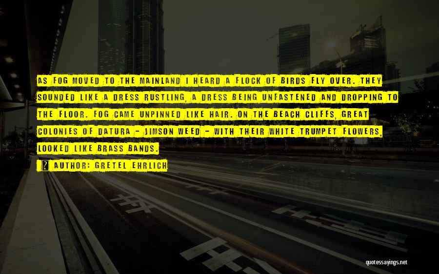Gretel Ehrlich Quotes: As Fog Moved To The Mainland I Heard A Flock Of Birds Fly Over. They Sounded Like A Dress Rustling,