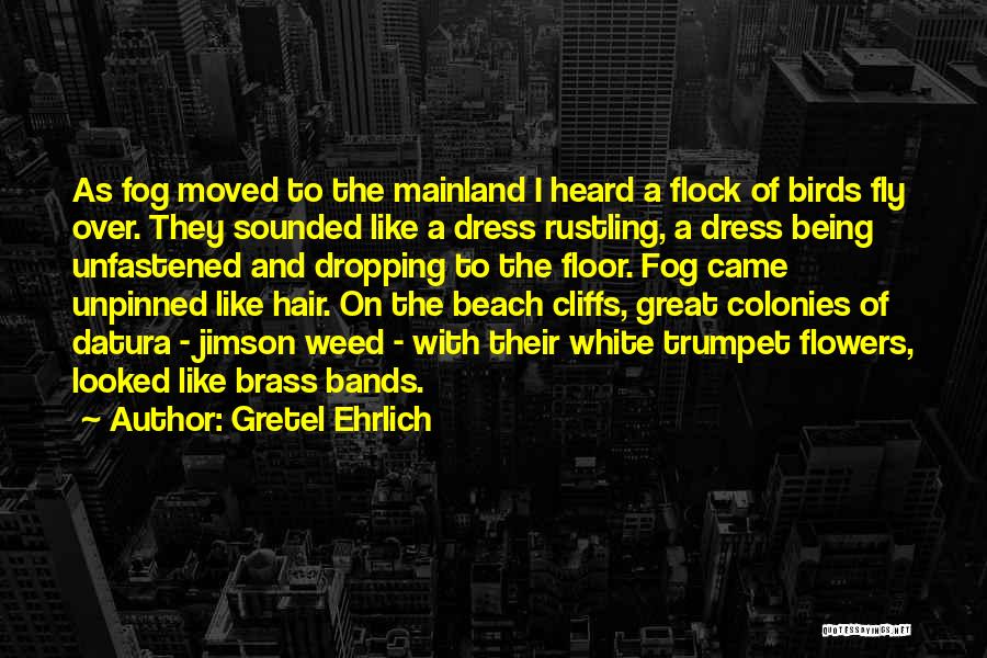 Gretel Ehrlich Quotes: As Fog Moved To The Mainland I Heard A Flock Of Birds Fly Over. They Sounded Like A Dress Rustling,