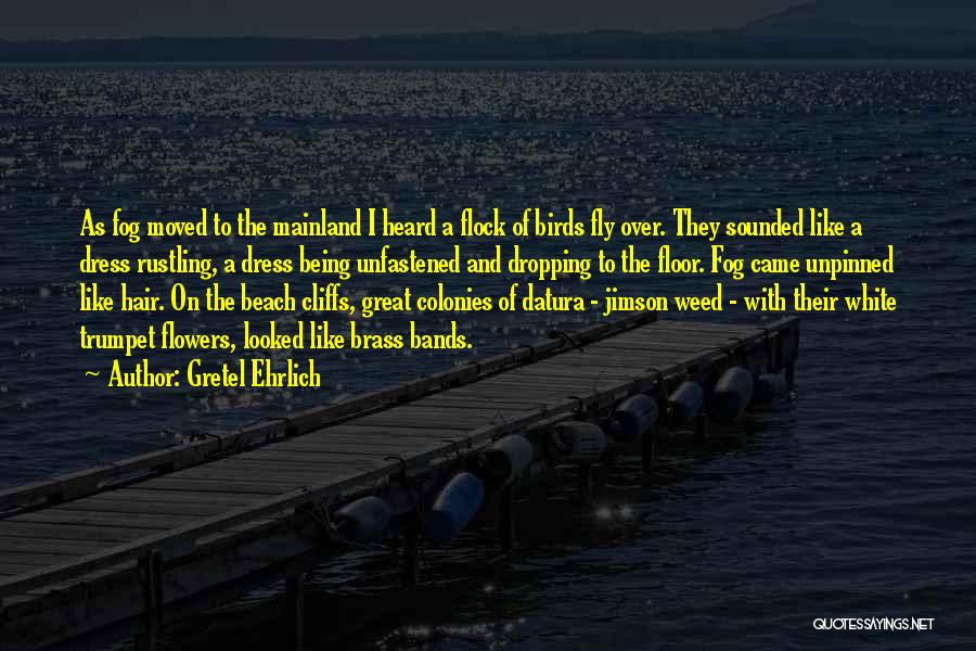 Gretel Ehrlich Quotes: As Fog Moved To The Mainland I Heard A Flock Of Birds Fly Over. They Sounded Like A Dress Rustling,