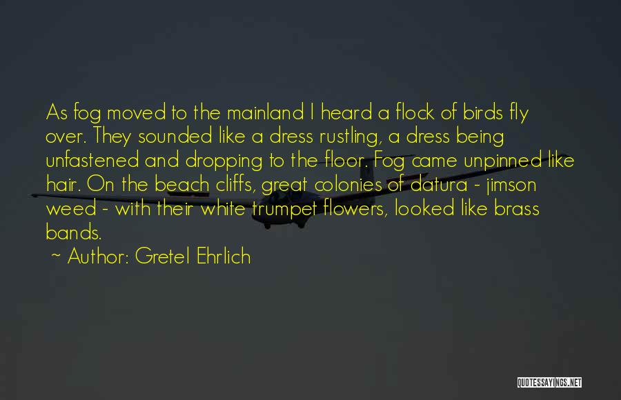 Gretel Ehrlich Quotes: As Fog Moved To The Mainland I Heard A Flock Of Birds Fly Over. They Sounded Like A Dress Rustling,