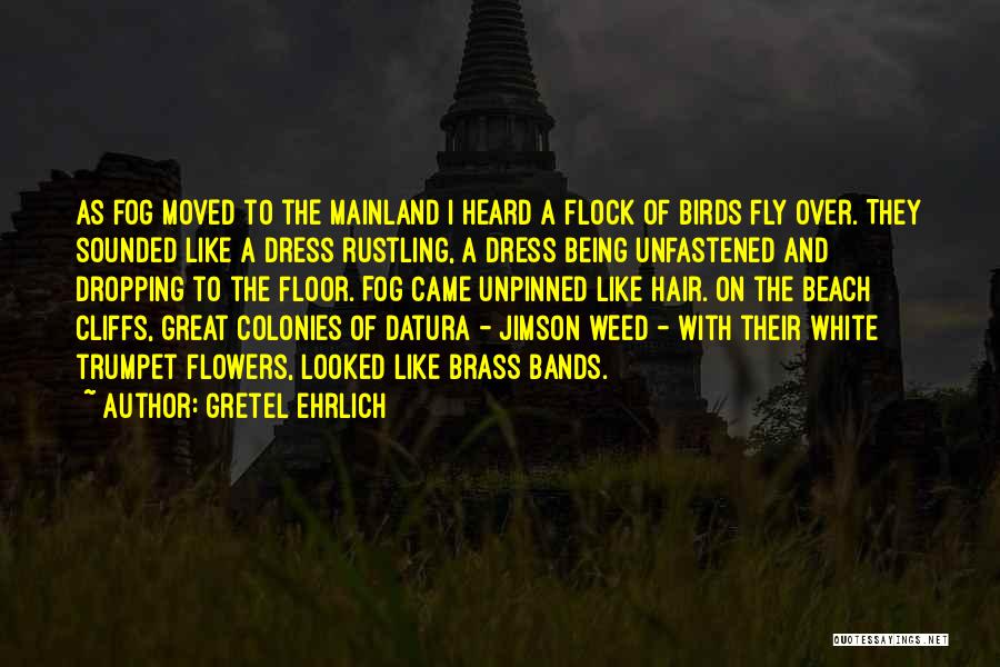 Gretel Ehrlich Quotes: As Fog Moved To The Mainland I Heard A Flock Of Birds Fly Over. They Sounded Like A Dress Rustling,