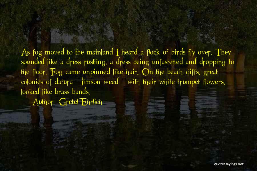 Gretel Ehrlich Quotes: As Fog Moved To The Mainland I Heard A Flock Of Birds Fly Over. They Sounded Like A Dress Rustling,