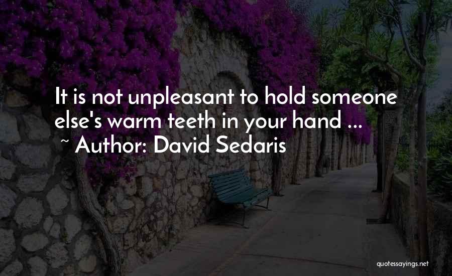 David Sedaris Quotes: It Is Not Unpleasant To Hold Someone Else's Warm Teeth In Your Hand ...