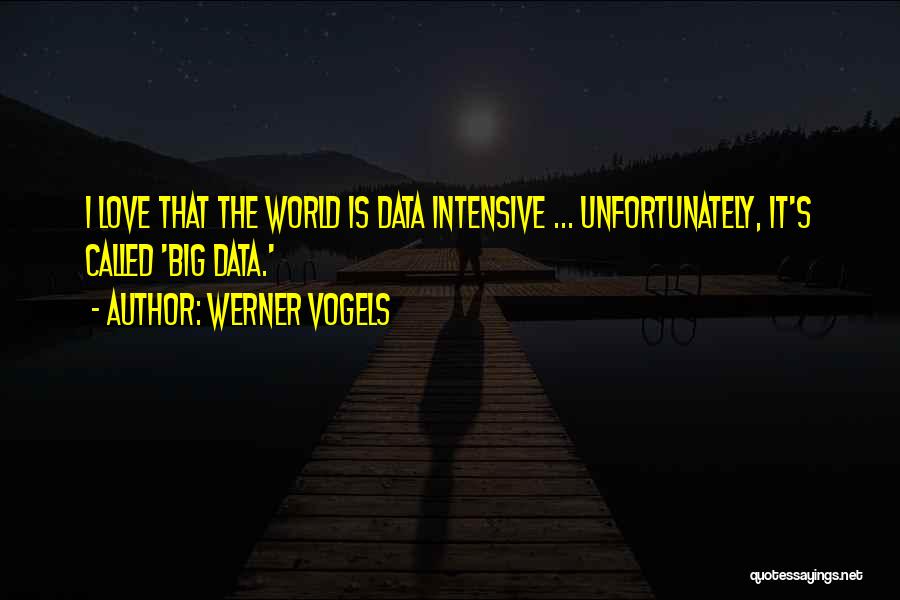 Werner Vogels Quotes: I Love That The World Is Data Intensive ... Unfortunately, It's Called 'big Data.'