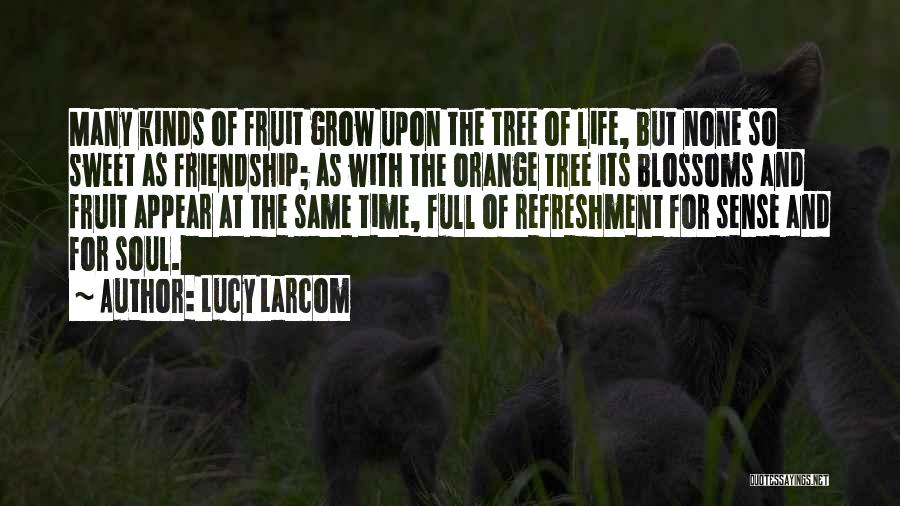 Lucy Larcom Quotes: Many Kinds Of Fruit Grow Upon The Tree Of Life, But None So Sweet As Friendship; As With The Orange