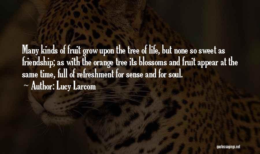Lucy Larcom Quotes: Many Kinds Of Fruit Grow Upon The Tree Of Life, But None So Sweet As Friendship; As With The Orange
