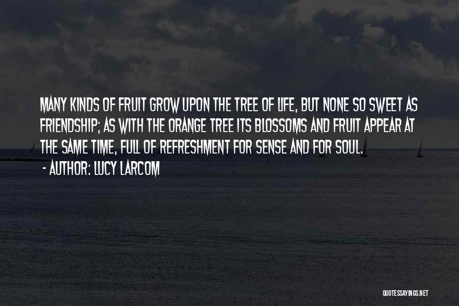 Lucy Larcom Quotes: Many Kinds Of Fruit Grow Upon The Tree Of Life, But None So Sweet As Friendship; As With The Orange