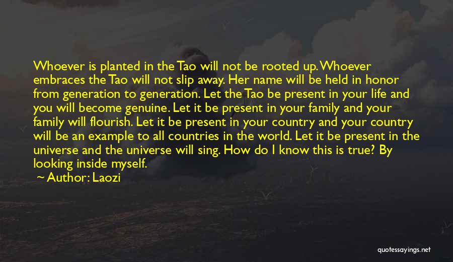 Laozi Quotes: Whoever Is Planted In The Tao Will Not Be Rooted Up. Whoever Embraces The Tao Will Not Slip Away. Her