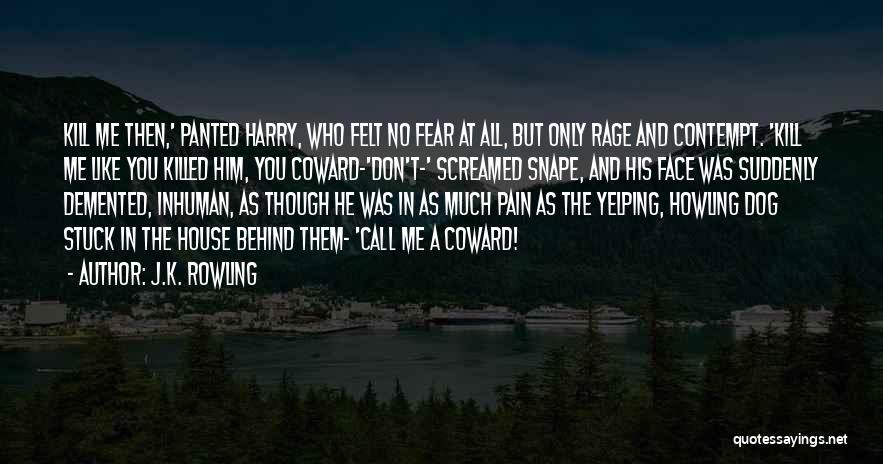 J.K. Rowling Quotes: Kill Me Then,' Panted Harry, Who Felt No Fear At All, But Only Rage And Contempt. 'kill Me Like You