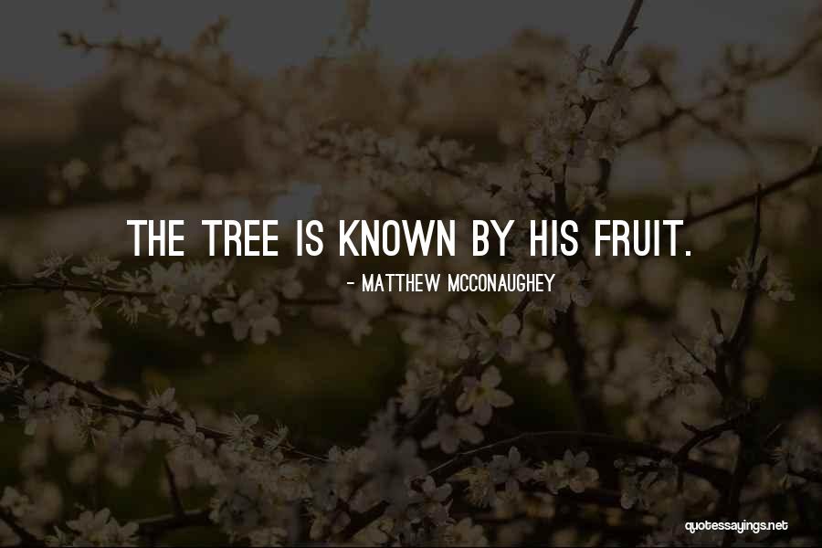 86004 Quotes By Matthew McConaughey 86004 Quotes By Matthew McConaughey