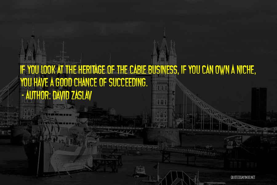 David Zaslav Quotes: If You Look At The Heritage Of The Cable Business, If You Can Own A Niche, You Have A Good