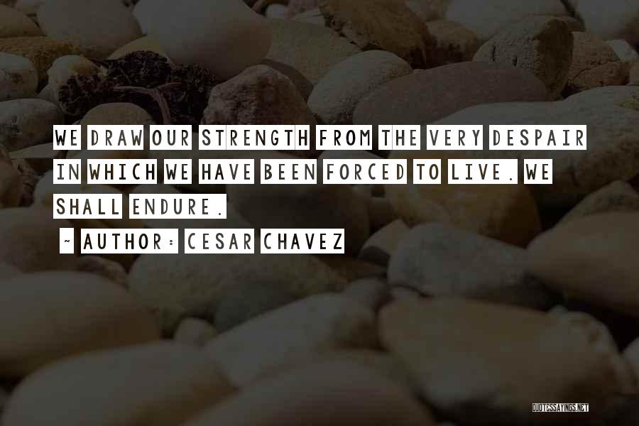 Cesar Chavez Quotes: We Draw Our Strength From The Very Despair In Which We Have Been Forced To Live. We Shall Endure.