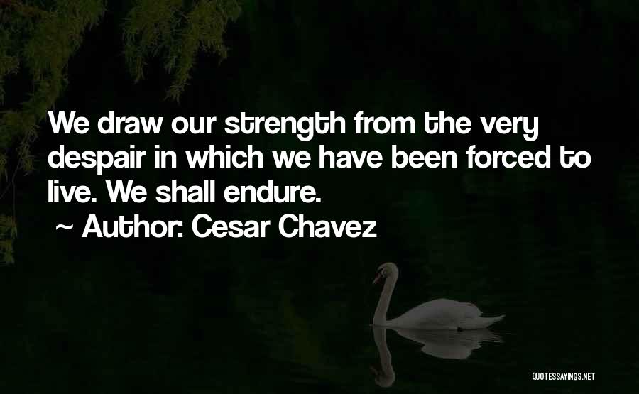 Cesar Chavez Quotes: We Draw Our Strength From The Very Despair In Which We Have Been Forced To Live. We Shall Endure.