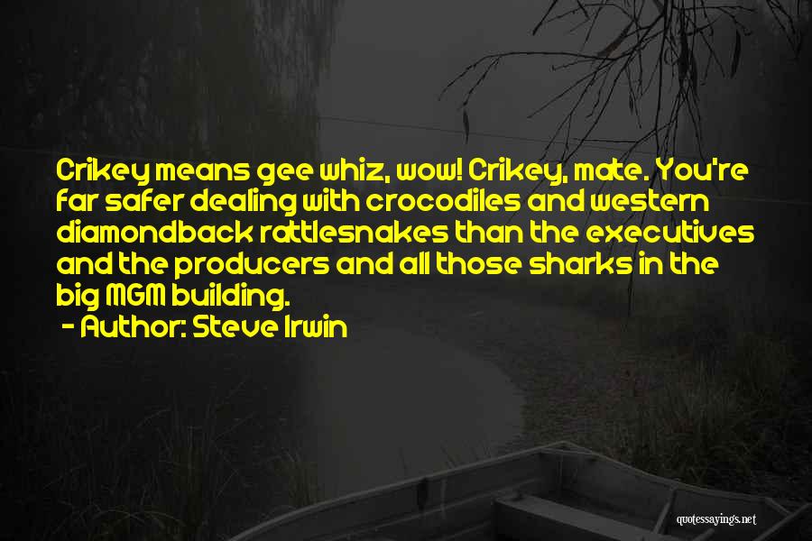 Steve Irwin Quotes: Crikey Means Gee Whiz, Wow! Crikey, Mate. You're Far Safer Dealing With Crocodiles And Western Diamondback Rattlesnakes Than The Executives