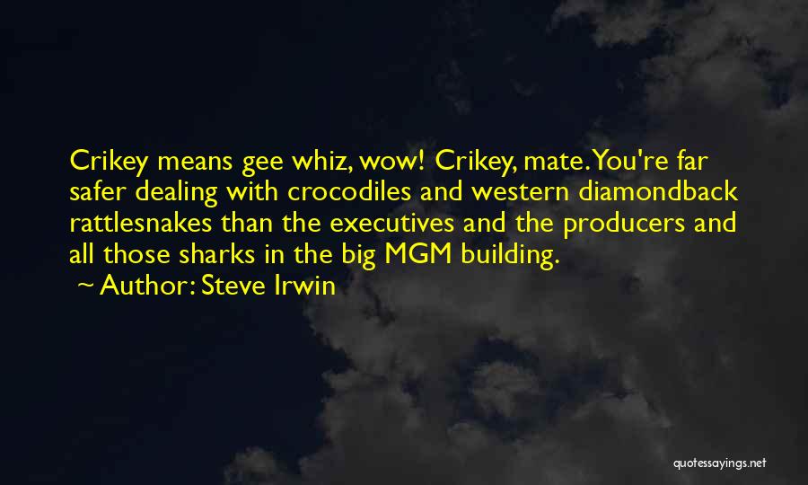 Steve Irwin Quotes: Crikey Means Gee Whiz, Wow! Crikey, Mate. You're Far Safer Dealing With Crocodiles And Western Diamondback Rattlesnakes Than The Executives