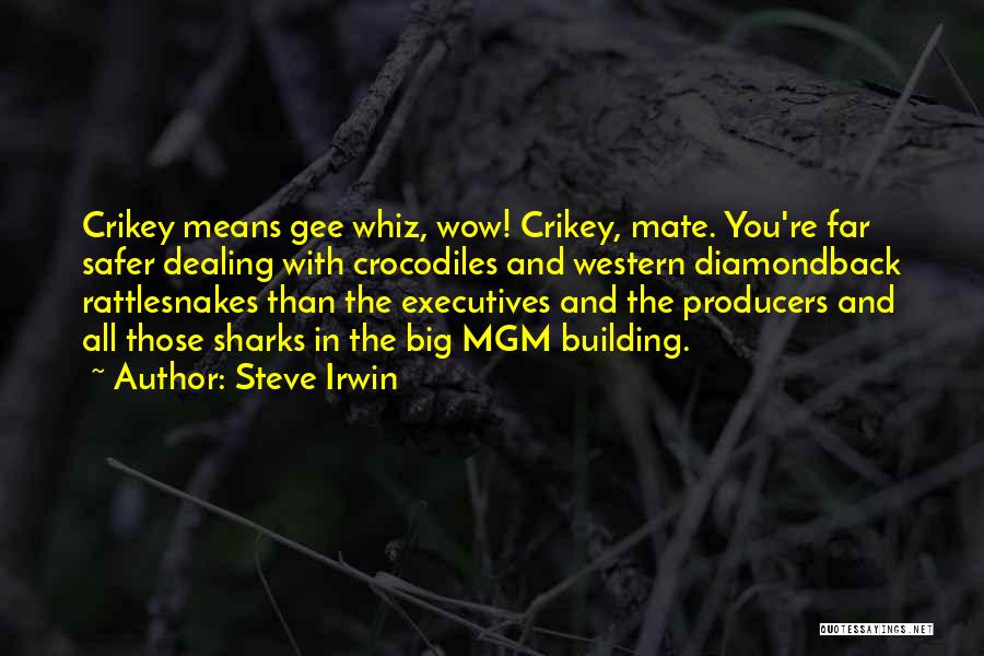 Steve Irwin Quotes: Crikey Means Gee Whiz, Wow! Crikey, Mate. You're Far Safer Dealing With Crocodiles And Western Diamondback Rattlesnakes Than The Executives