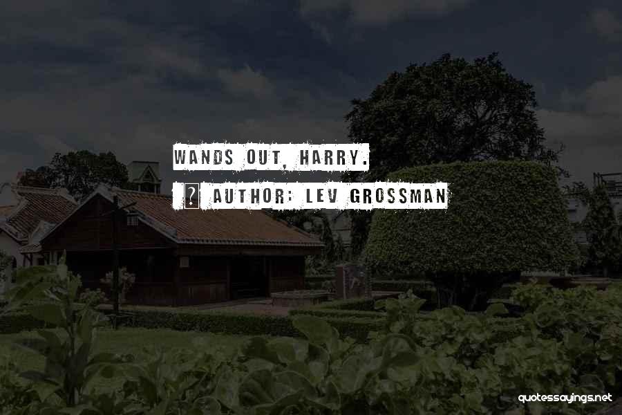 Lev Grossman Quotes: Wands Out, Harry.