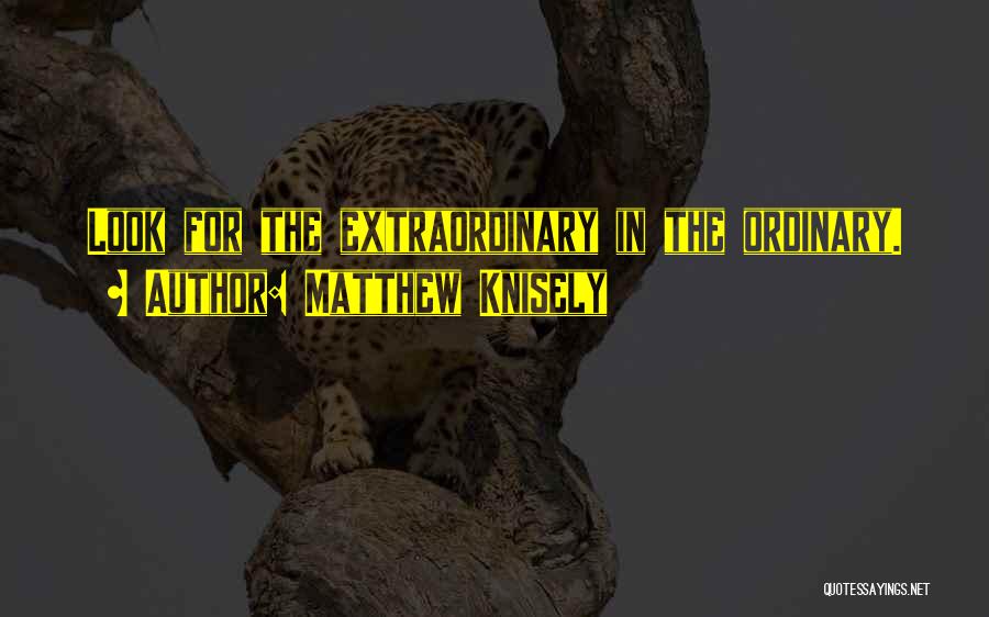 Matthew Knisely Quotes: Look For The Extraordinary In The Ordinary.