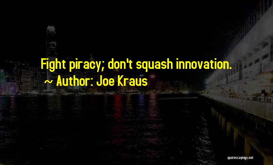 Joe Kraus Quotes: Fight Piracy; Don't Squash Innovation.