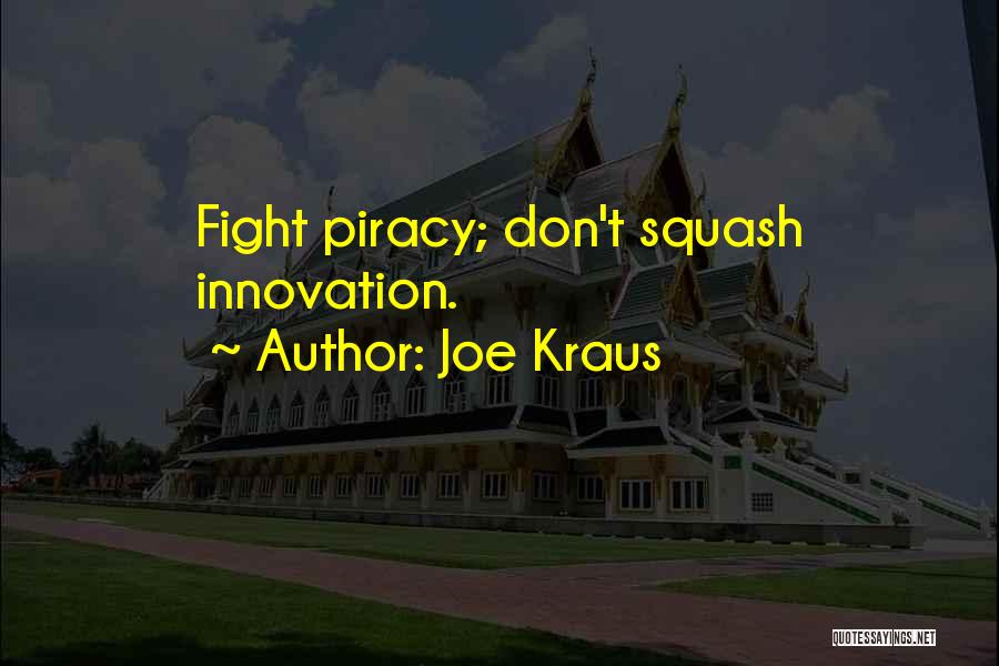 Joe Kraus Quotes: Fight Piracy; Don't Squash Innovation.