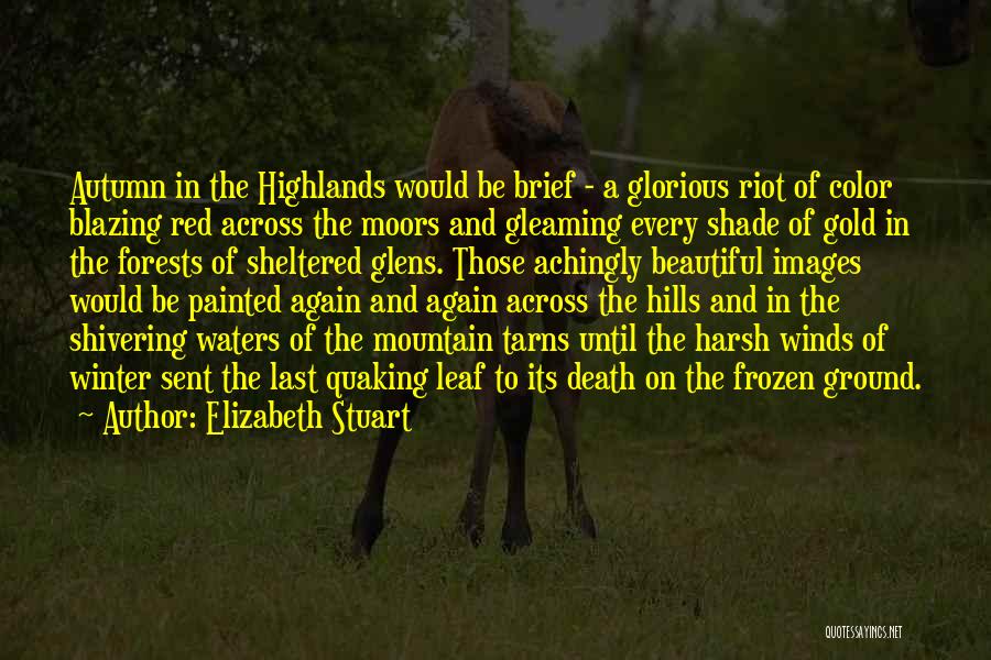 Elizabeth Stuart Quotes: Autumn In The Highlands Would Be Brief - A Glorious Riot Of Color Blazing Red Across The Moors And Gleaming