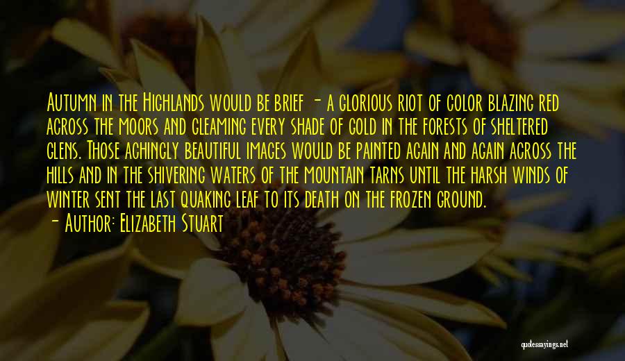 Elizabeth Stuart Quotes: Autumn In The Highlands Would Be Brief - A Glorious Riot Of Color Blazing Red Across The Moors And Gleaming