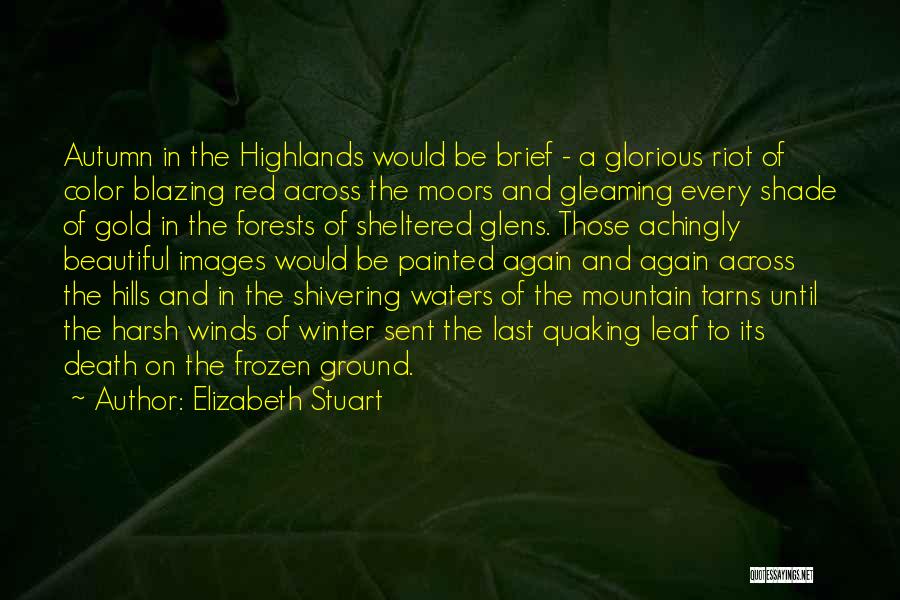 Elizabeth Stuart Quotes: Autumn In The Highlands Would Be Brief - A Glorious Riot Of Color Blazing Red Across The Moors And Gleaming