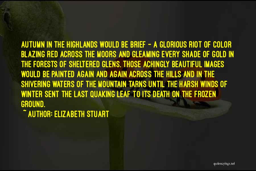 Elizabeth Stuart Quotes: Autumn In The Highlands Would Be Brief - A Glorious Riot Of Color Blazing Red Across The Moors And Gleaming