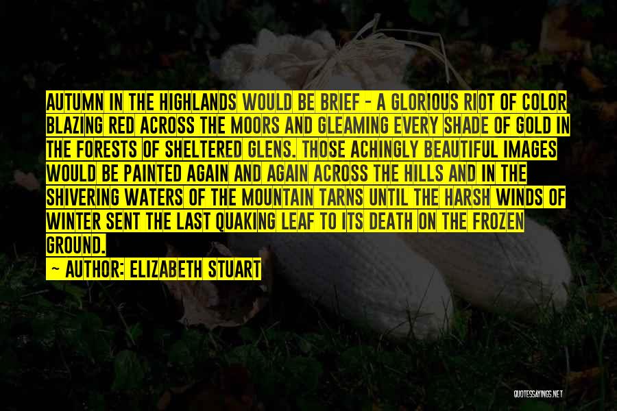Elizabeth Stuart Quotes: Autumn In The Highlands Would Be Brief - A Glorious Riot Of Color Blazing Red Across The Moors And Gleaming