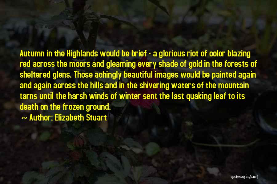 Elizabeth Stuart Quotes: Autumn In The Highlands Would Be Brief - A Glorious Riot Of Color Blazing Red Across The Moors And Gleaming