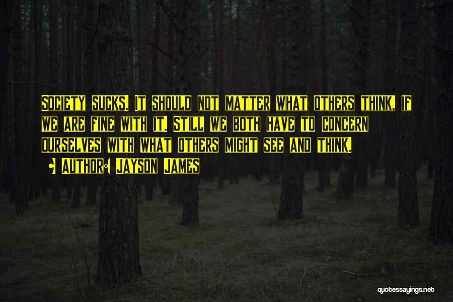 Jayson James Quotes: Society Sucks. It Should Not Matter What Others Think, If We Are Fine With It. Still We Both Have To
