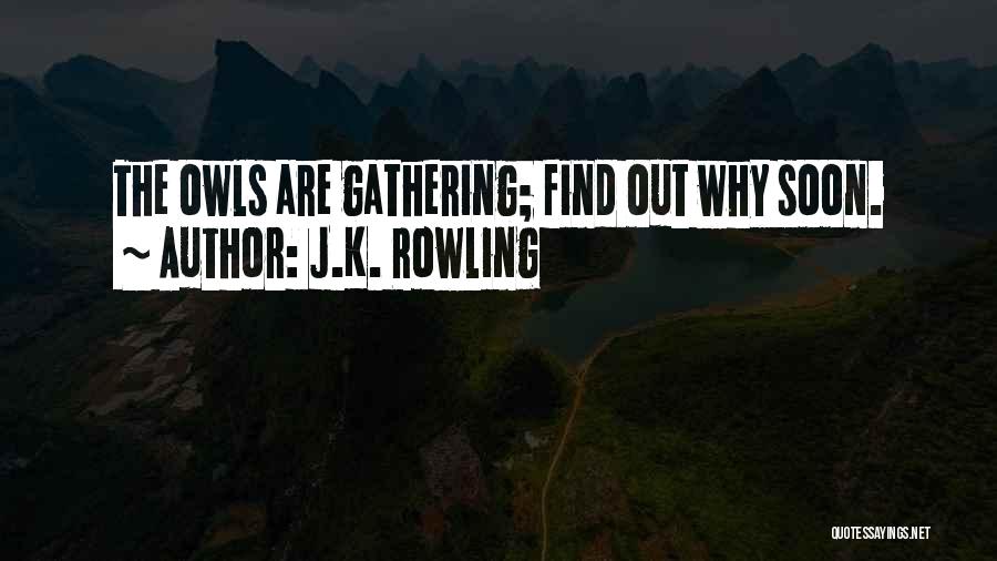 J.K. Rowling Quotes: The Owls Are Gathering; Find Out Why Soon.