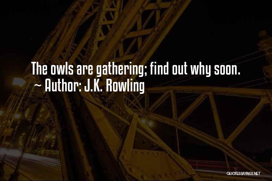 J.K. Rowling Quotes: The Owls Are Gathering; Find Out Why Soon.