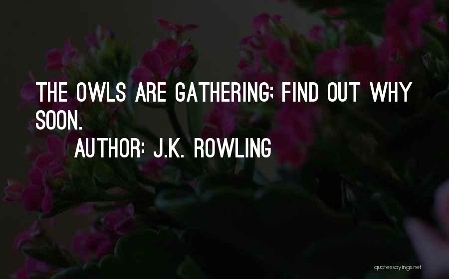 J.K. Rowling Quotes: The Owls Are Gathering; Find Out Why Soon.