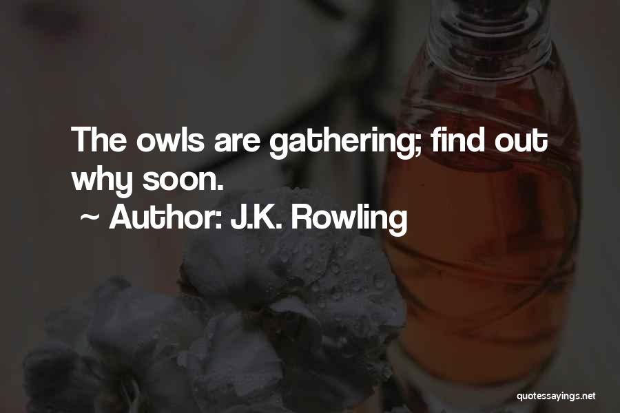 J.K. Rowling Quotes: The Owls Are Gathering; Find Out Why Soon.