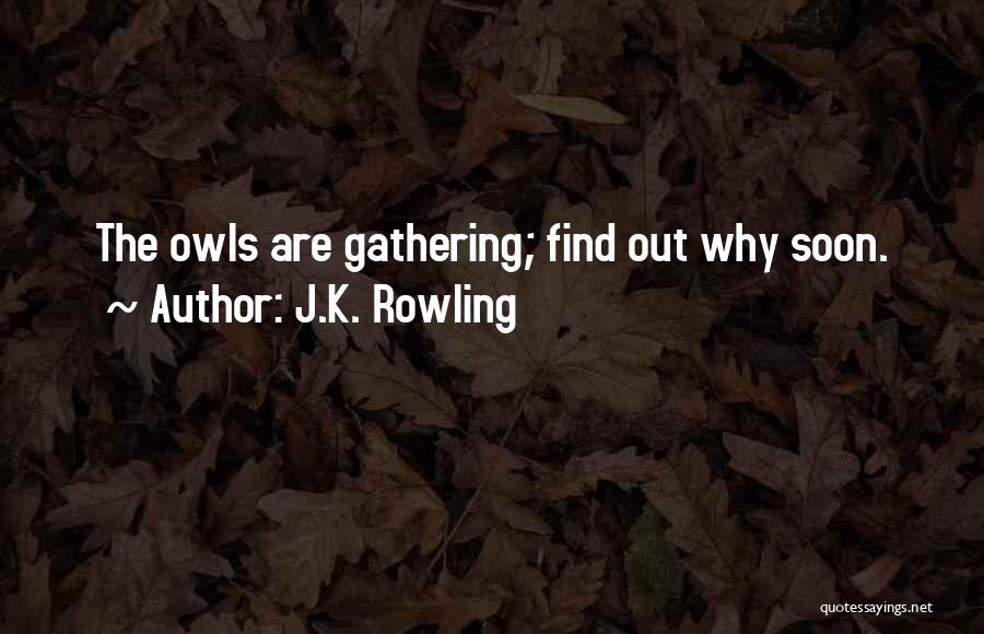 J.K. Rowling Quotes: The Owls Are Gathering; Find Out Why Soon.